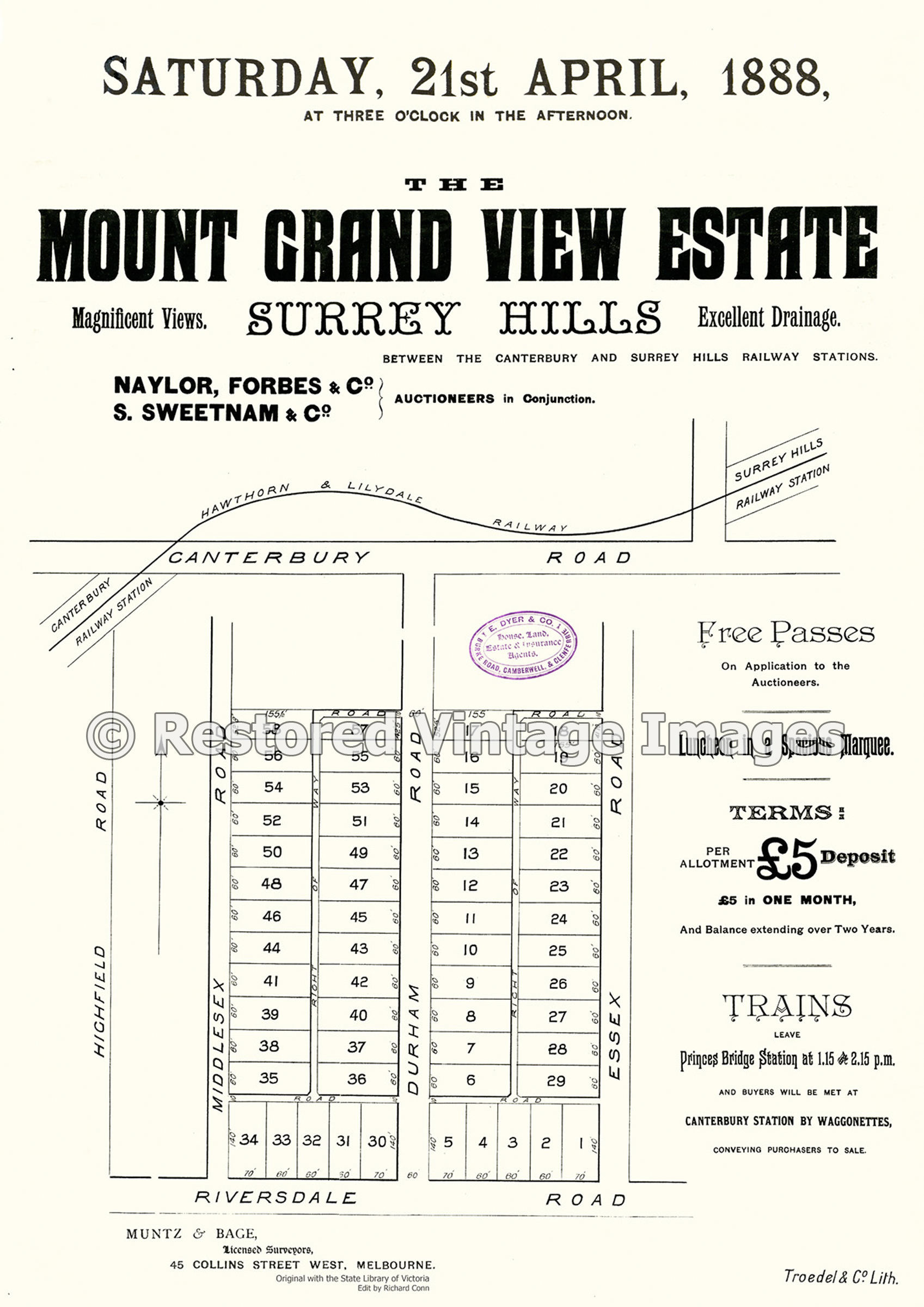 Mount Grand View Estate 1888 – Surrey Hills