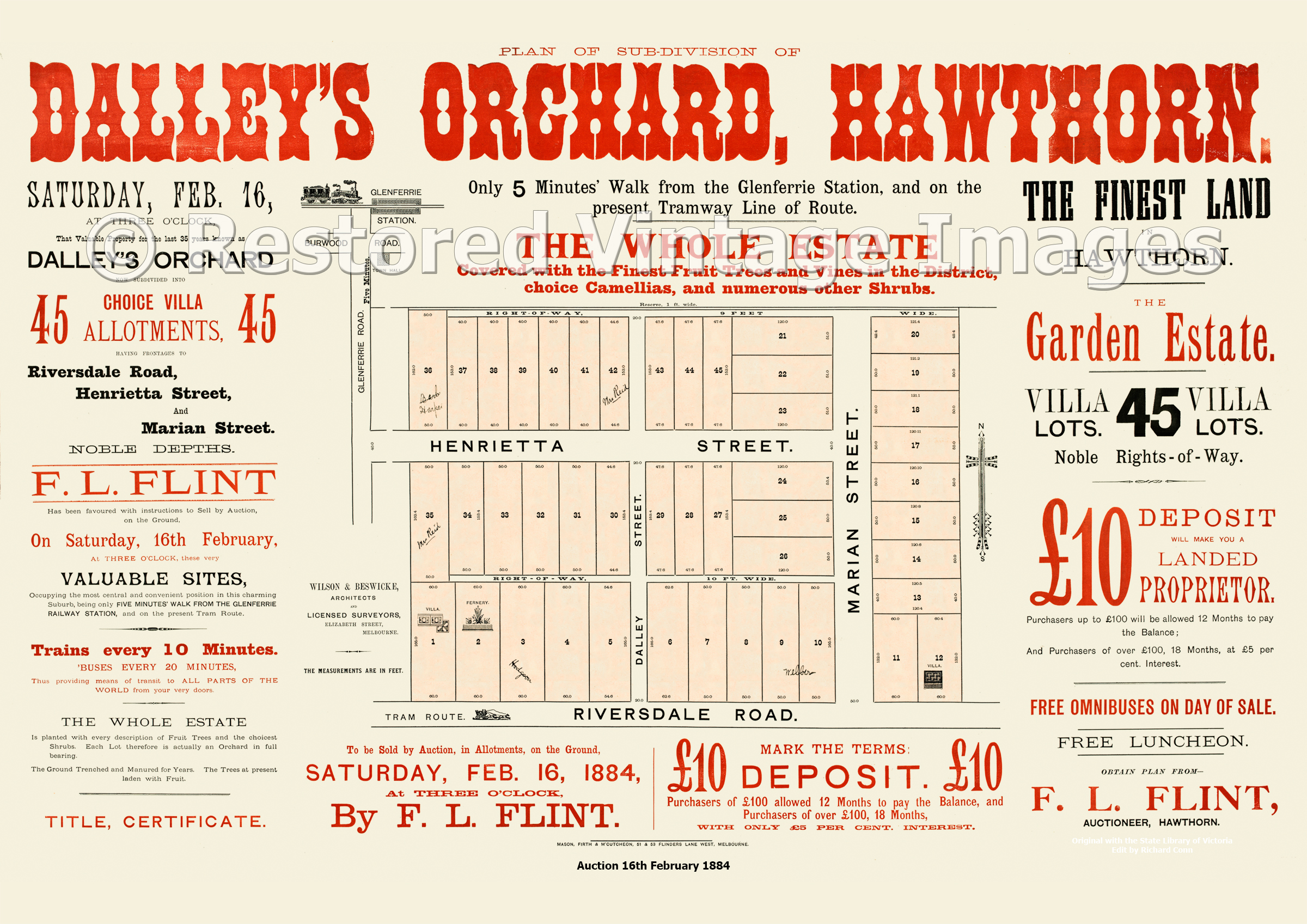 Dalley’s Orchard 16th February 1884 – Hawthorn